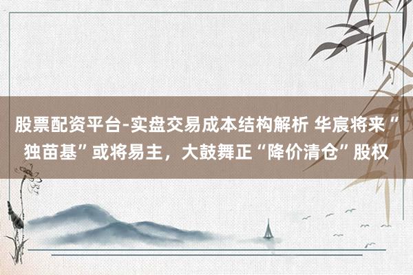 股票配资平台-实盘交易成本结构解析 华宸将来“独苗基”或将易主，大鼓舞正“降价清仓”股权