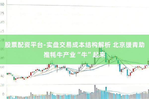 股票配资平台-实盘交易成本结构解析 北京援青助推牦牛产业“牛”起来