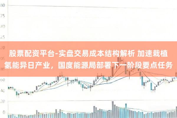 股票配资平台-实盘交易成本结构解析 加速栽植氢能异日产业，国度能源局部署下一阶段要点任务