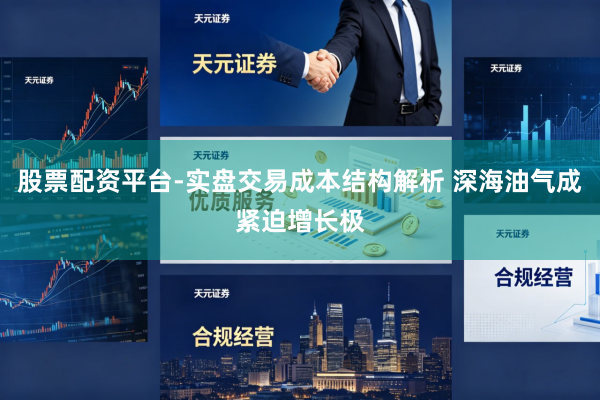 股票配资平台-实盘交易成本结构解析 深海油气成紧迫增长极