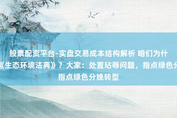 股票配资平台-实盘交易成本结构解析 咱们为什么需要《生态环境法典》？大家：处置玷辱问题，指点绿色分娩转型